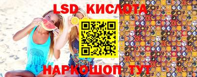 шишки Владимир