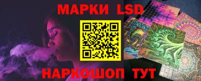 шишки Владимир