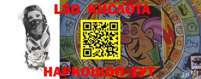 шишки Владимир