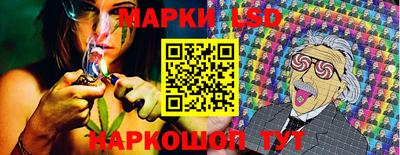 шишки Владимир
