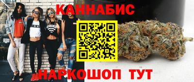 шишки Владимир
