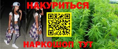 шишки Владимир