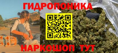 шишки Владикавказ