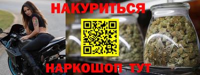 шишки Владимир